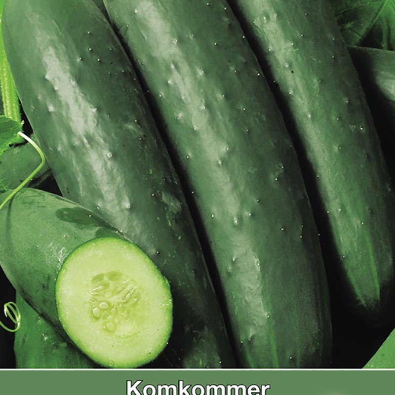 Komkommer, Cucumis sativus Sonja
