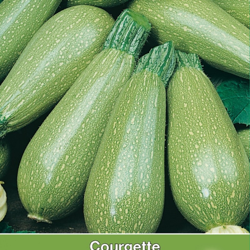 Courgette, Lorea F1