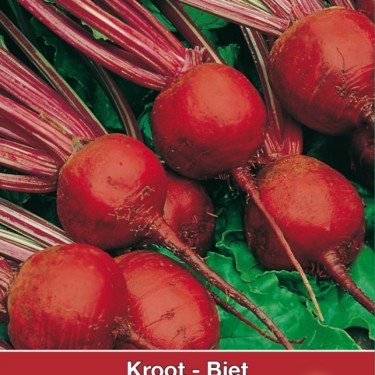 Biet - Kroot Kogel of Detroit 2