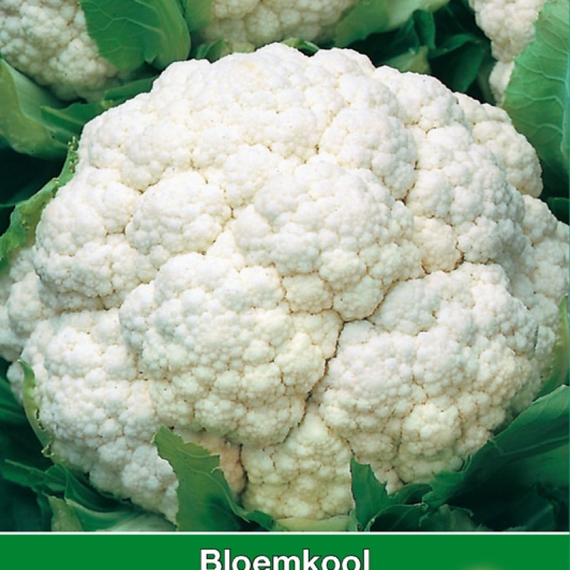 Bloemkool Amazing