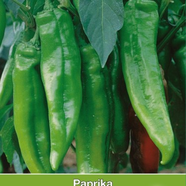 Paprika Lipari F1