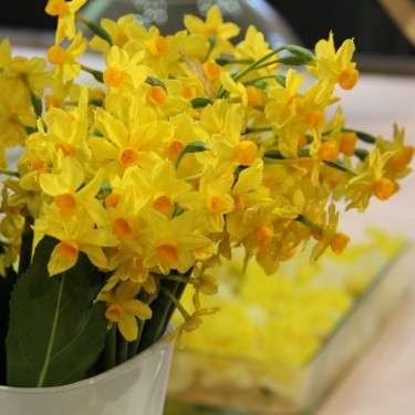 Narcissus 'Grand Soleil d'Or'