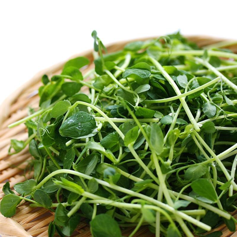 Kiemgroente Groene erwt, Pisum sativum -zaden-