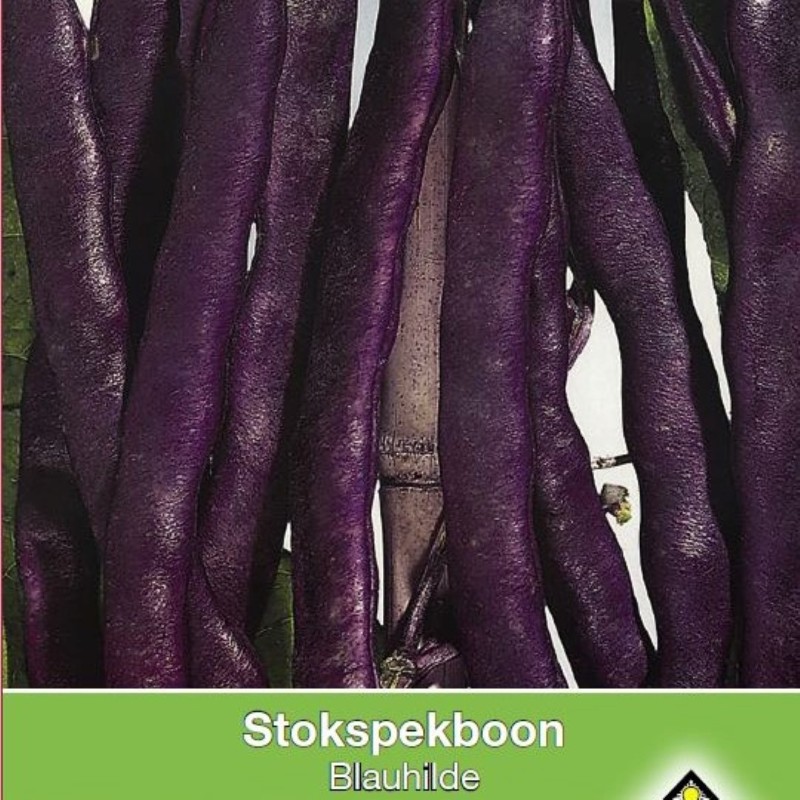 Stokspekboon, Phaseolus vulgaris 'Blauhilde',  30 gr. -zaden-