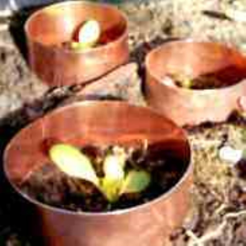 Koperringen, set 15/20/30 cm.