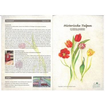 Brochure Historische Tulpen NL