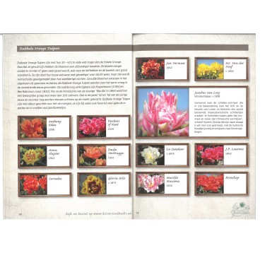 Brochure Historische Tulpen NL