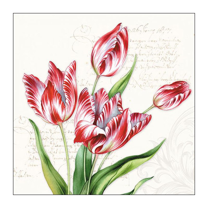 Napkin 33 Classic Tulips...