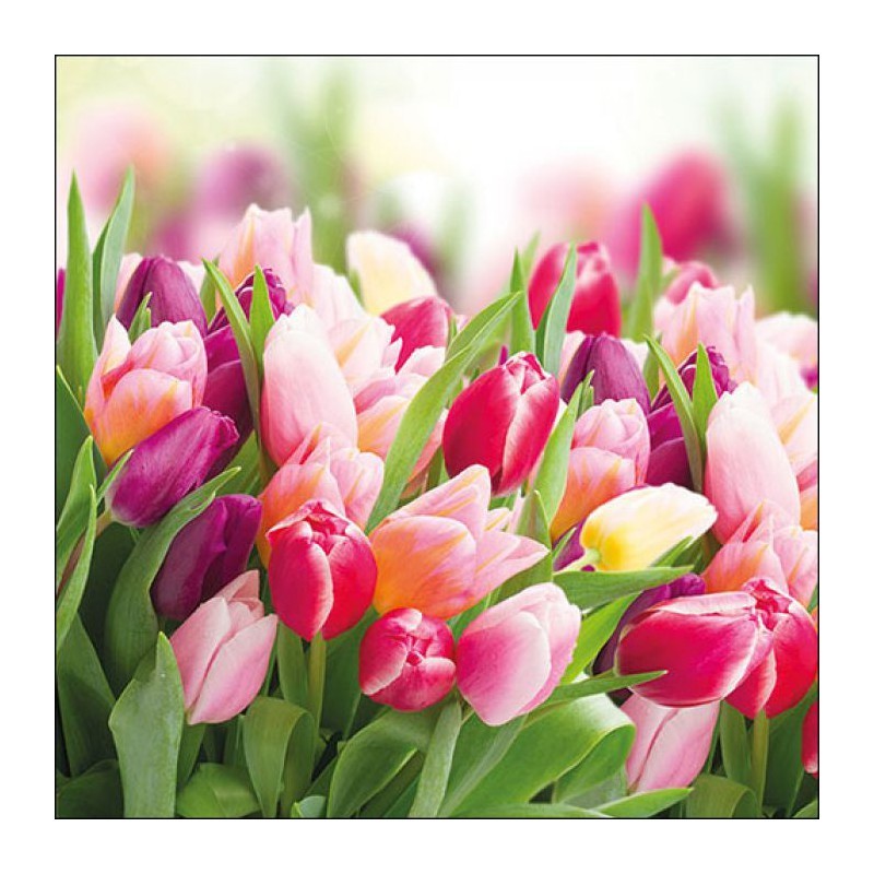 Napkin 33 Glorious Tulips FSC Mix