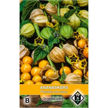 Ananaskers, Physalis peruviana  -zaden-