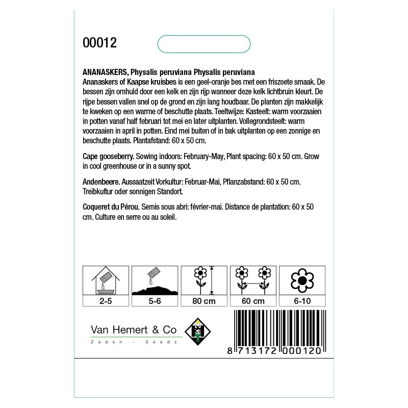 Ananaskers, Physalis peruviana  -zaden-