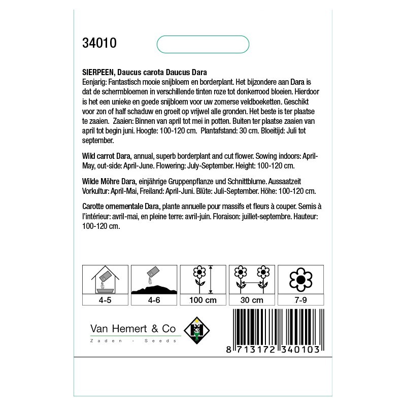 Daucus carota 'Dara' -zaden-