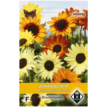 Helianthus debilis 'Soluna Mix' -zaden-