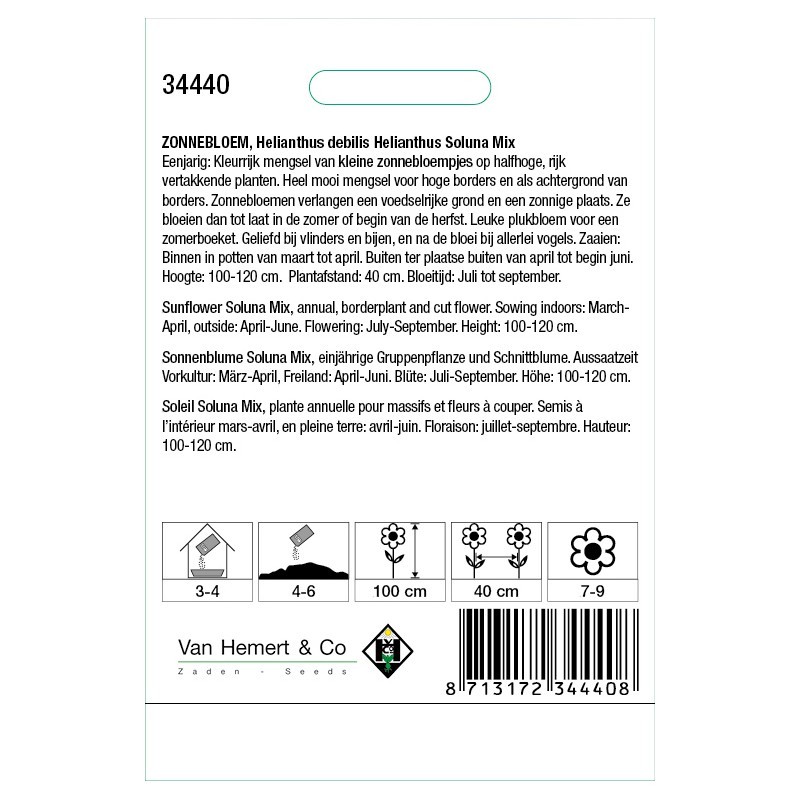 Helianthus debilis 'Soluna Mix' -zaden-