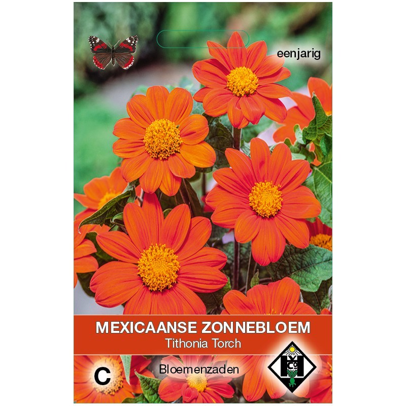 Tithonia rotundifolia 'Torch'  -zaden-