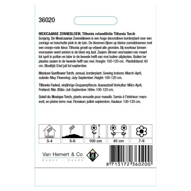 Tithonia rotundifolia 'Torch'  -zaden-