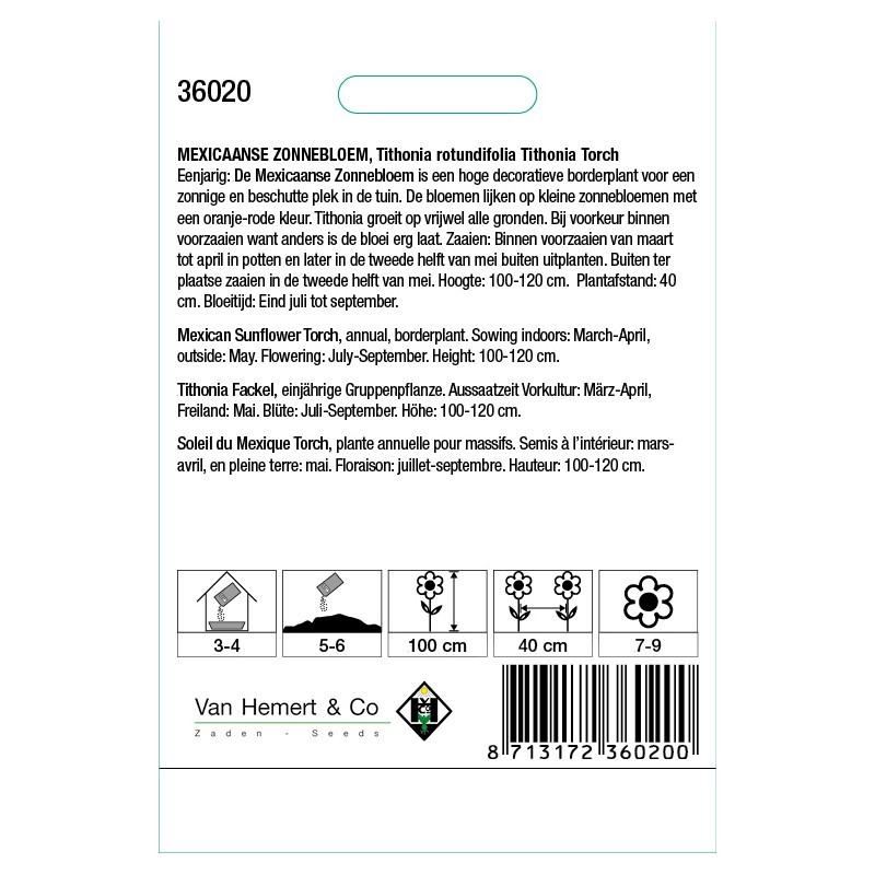 Tithonia rotundifolia 'Torch'  -zaden-