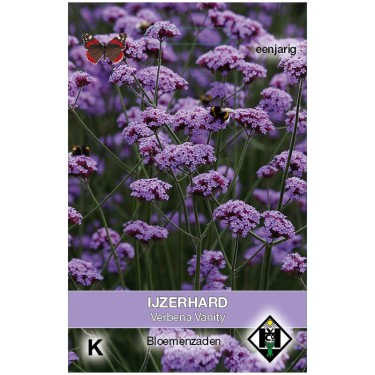 Verbena bonariensis 'Vanity' -zaden-