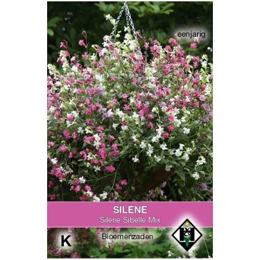 Silene pendula 'Sibella Mix' -zaden-