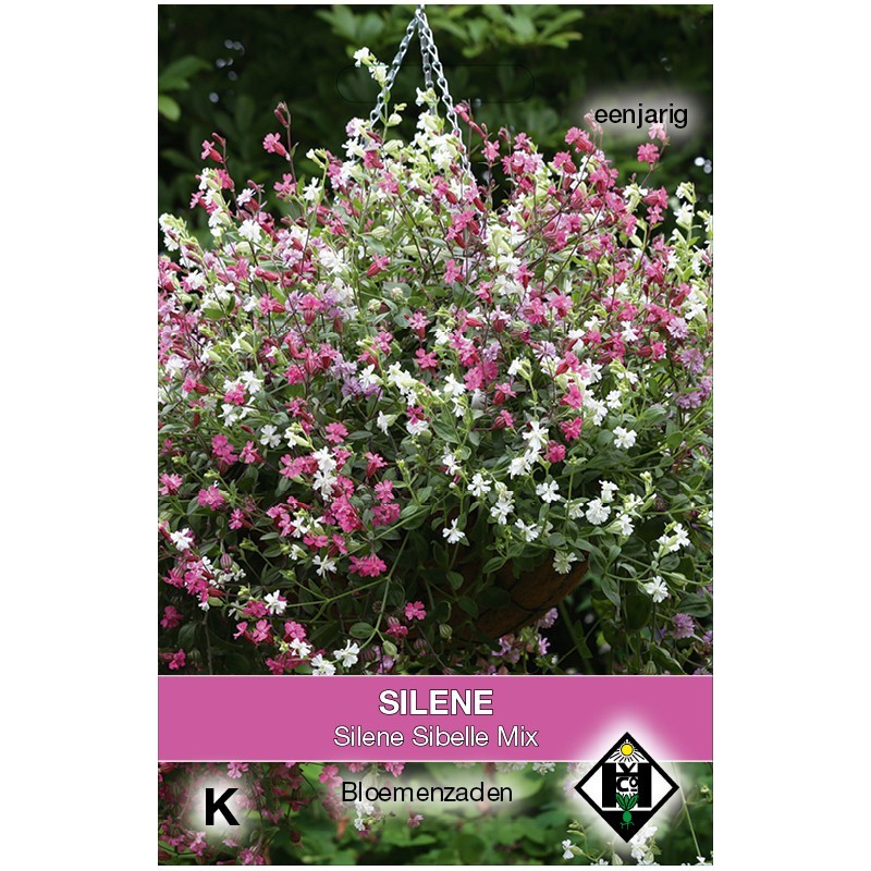 Silene pendula 'Sibella Mix' -zaden-