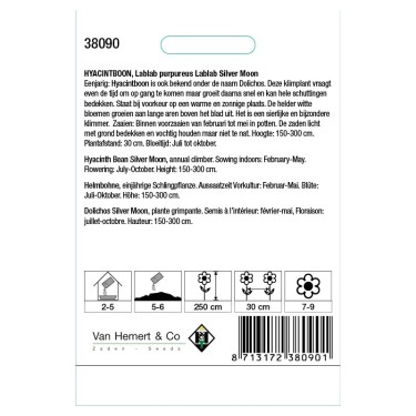 Lablab purpureus 'Silver Moon' -zaden-