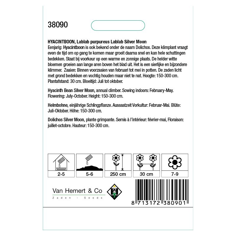 Lablab purpureus 'Silver Moon' -zaden-