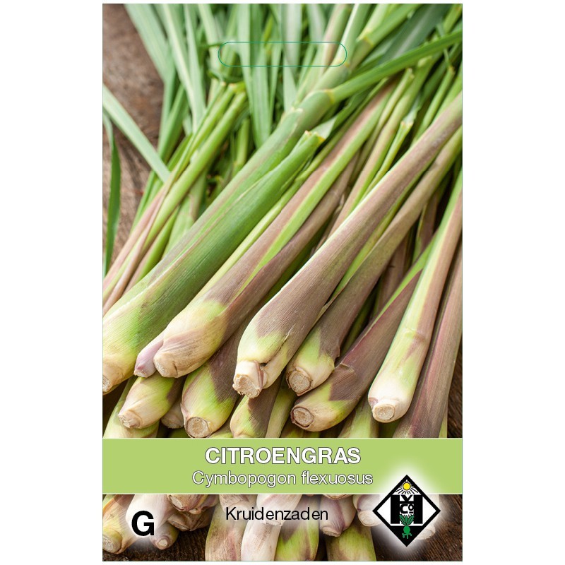 Citroengras / Cymbopogon flexuosus -zaden-