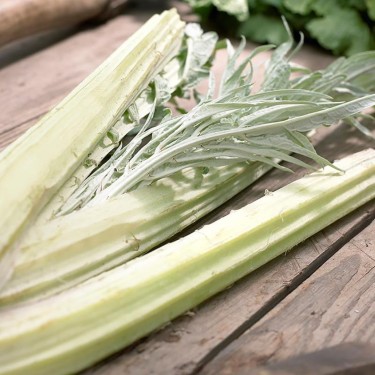 Kardoen, Cynara cardunculus -zaden-