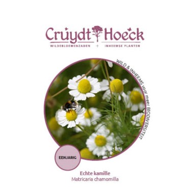 Echte kamille - Matricaria chamomilla