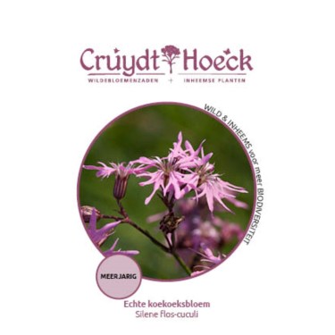 Echte koekoeksbloem - Silene flos-cuculi