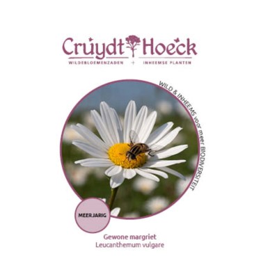 Gewone margriet - Leucanthemum vulgare