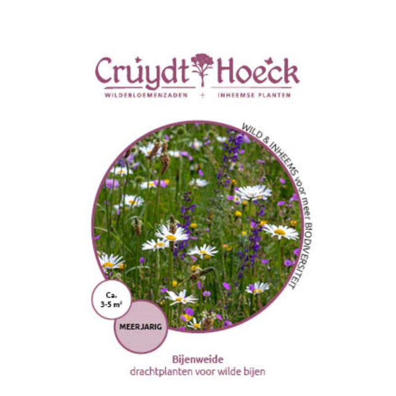 Bijenweide - drachtplanten voor wilde bijen