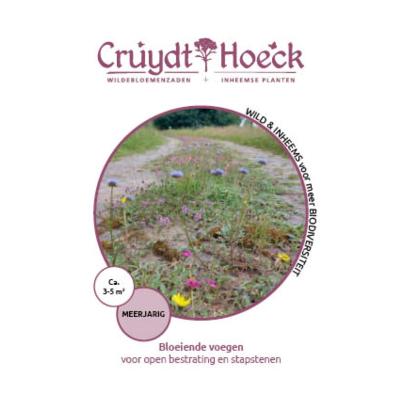 Bloeiende voegen - voor open bestrating en stapstenen