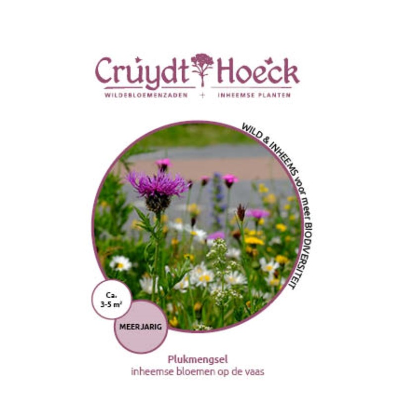 Plukmengsel - inheemse bloemen op de vaas