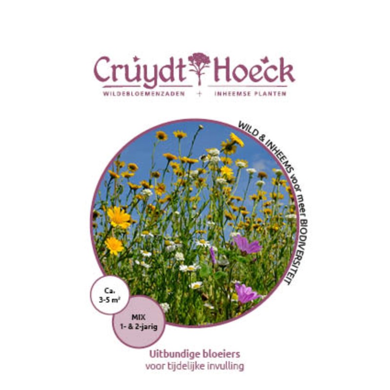 Uitbundige bloeiers - voor tijdelijke invulling