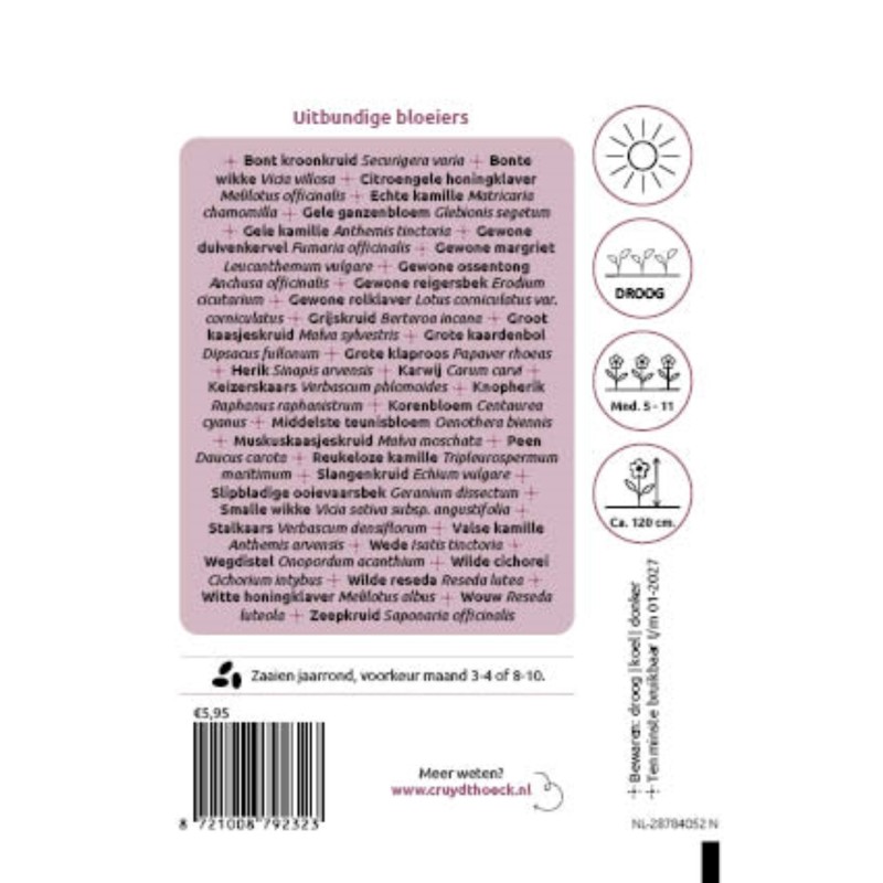 Uitbundige bloeiers - voor tijdelijke invulling