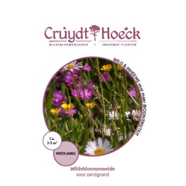 Wildebloemenweide - voor zandgrond