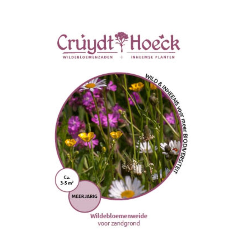Wildebloemenweide - voor zandgrond