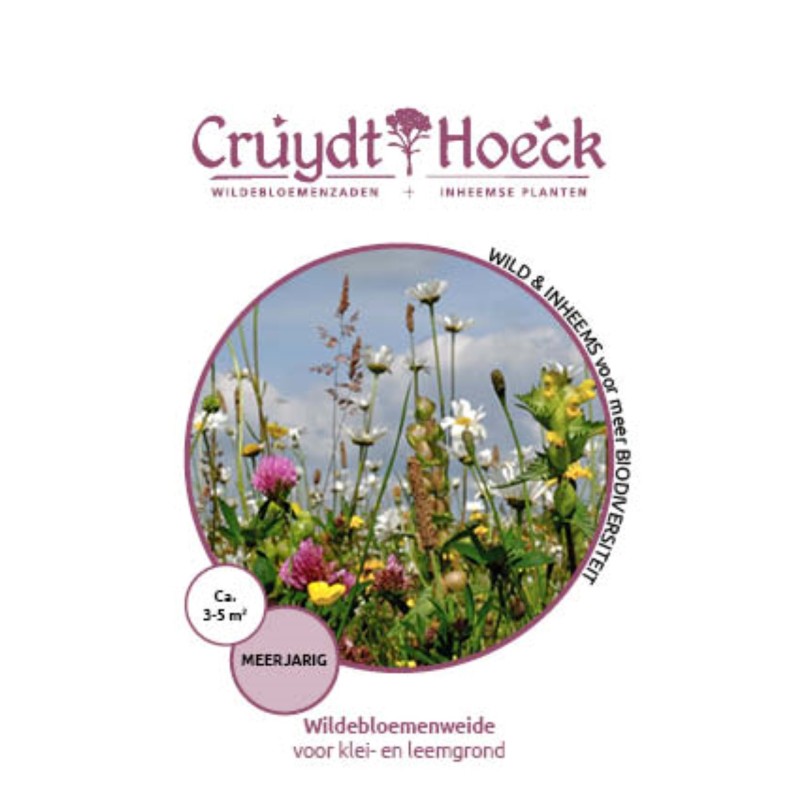 Wildebloemenweide - voor klei- en leemgronden