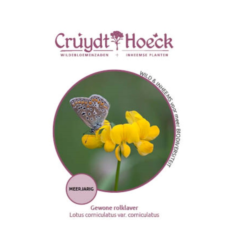 Gewone rolklaver - Lotus corniculatus var. corniculatus