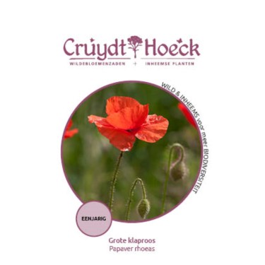 Grote klaproos - Papaver rhoeas