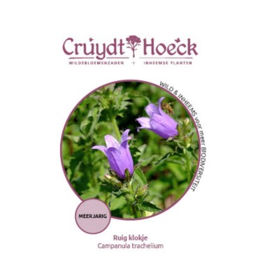Ruig klokje - Campanula trachelium