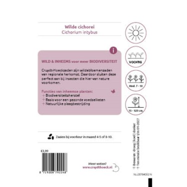 Wilde cichorei - Cichorium intybus