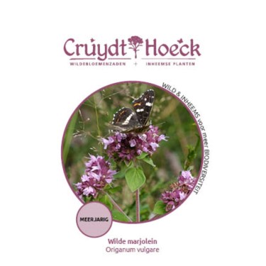 Wilde marjolein - Origanum vulgare