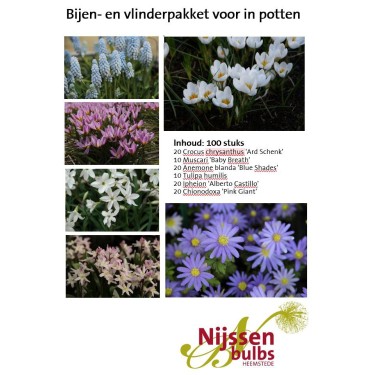 Bijenpakket voor in potten - 100 stuks