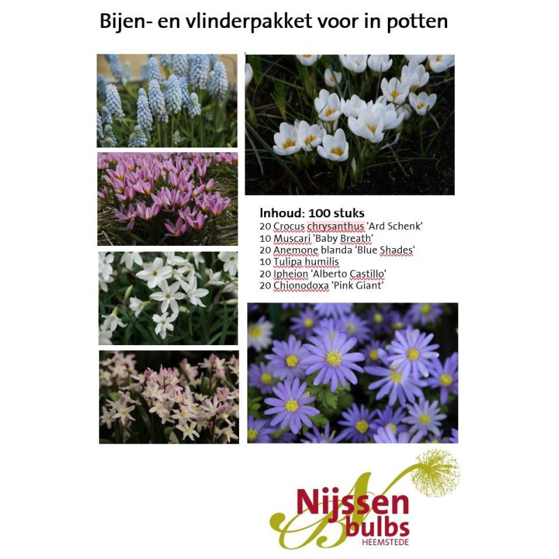 Bijenpakket voor in potten - 100 stuks