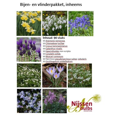 Bijenpakket, inheems - 90 stuks.