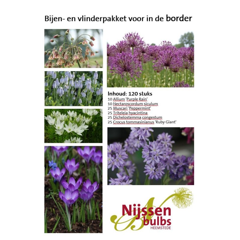Bijenpakket voor in de border - 120 stuks.