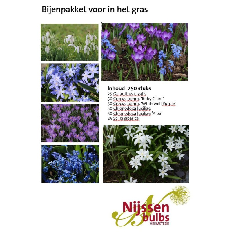 Bijenpakket voor in het gras - 250 stuks.