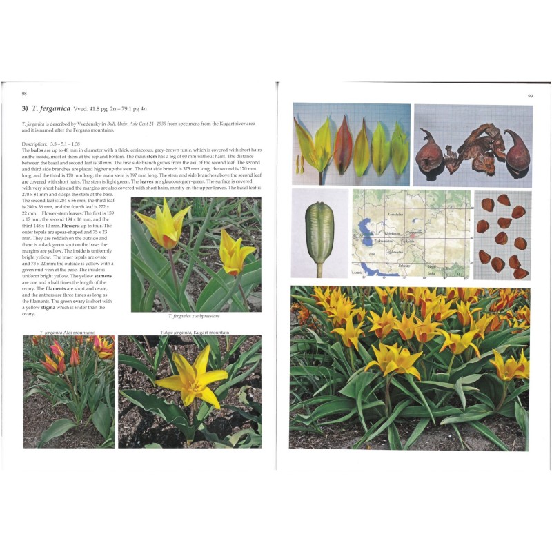 Book -Tulips and their Natural History- 